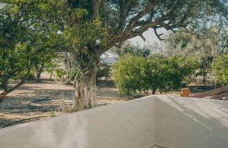 Aesthisis Sensational Accommodation - Foto 41