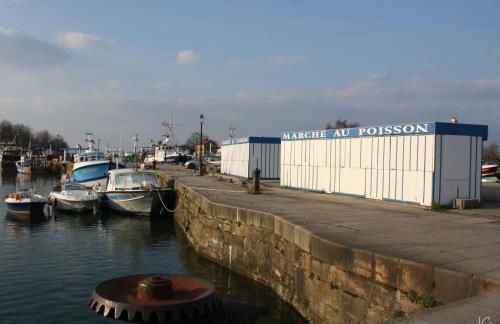 Gites Des Petits Près - Foto 39