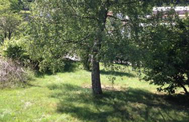 Ferme de ma Grand-Mère - Foto 25