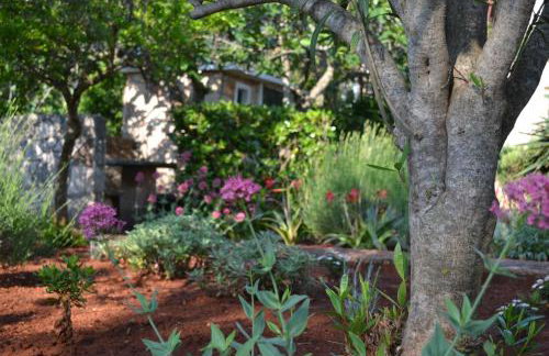 Apartments Basina - Foto 60