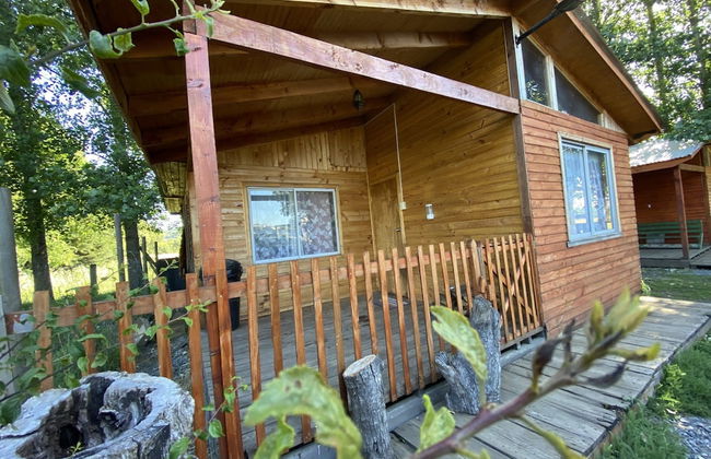 Cabañas EcoSur-Chile - Foto 7