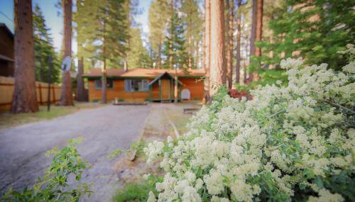 Whispering Pines Cabin - Family and pet Friendly Abode - Foto 3