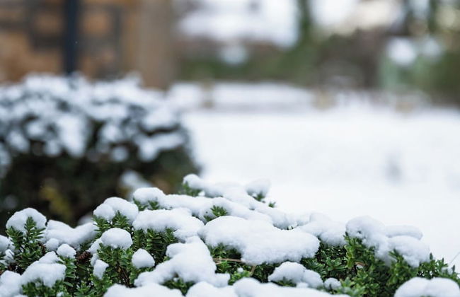 Darwin Cottage Self Catering in Elgin - Foto 40