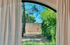 Masseria Frassaniti - Foto 6