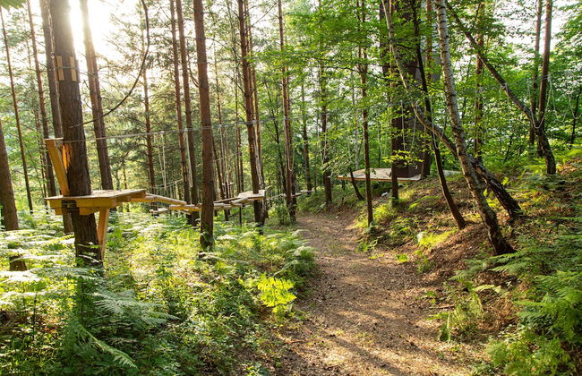 Malak Farma - Foto 39