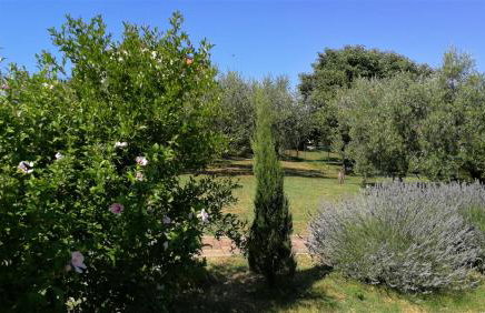 Moratto's Apartments - Foto 73