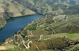 House da Didy - Foto 35