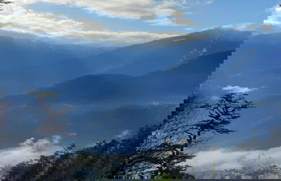 Raila Home Stay - Foto 37