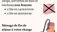 Ambiance chalet de montagne - Foto 3