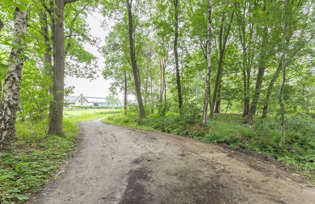 Holiday Home in Forested Netherlands With Terrace - Photo 35