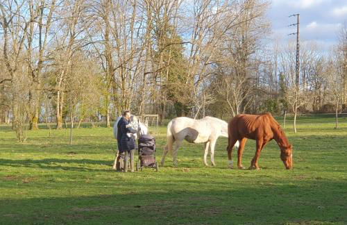 Lovely rural and quiet farmhouse with natural swimming lake - Foto 22