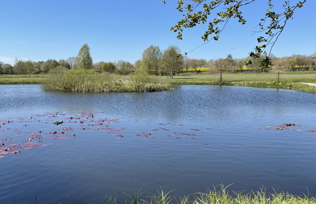 2 bedroom Apartment in Splietsdorf with garden - Photo 22