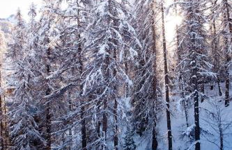 Résidence Arya - Living Stone - Foto 39