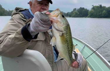 Private Lakefront House On Peaceful Private Lake - Photo 3