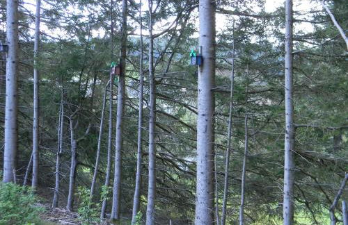 Schönwald Schwarzwaldhäuser Apartment 7 - Foto 28