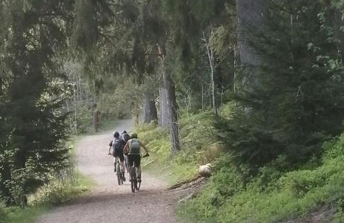 Blackforest Perla - Foto 36