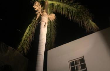 Casa Mamita - Foto 11