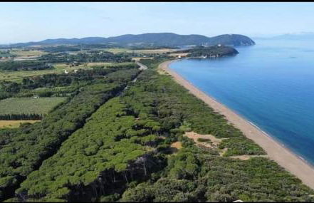 House Pula - Foto 23