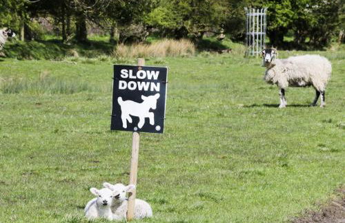 Stone Cross - Photo 15