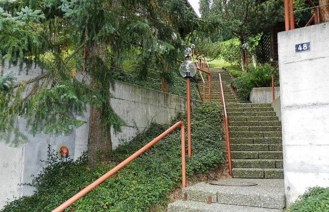 Hornflue (Baumann) - Foto 14