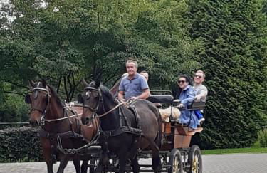 Der perfekte Ausgangspunkt - Foto 35