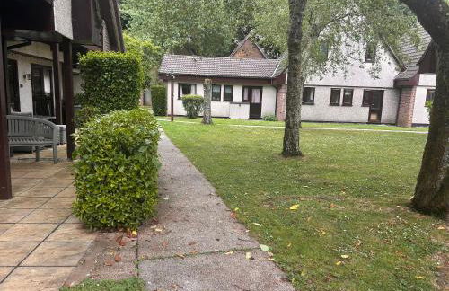 Trevithick 46 - Foto 23