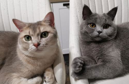 Dimora Visconti - Foto 63