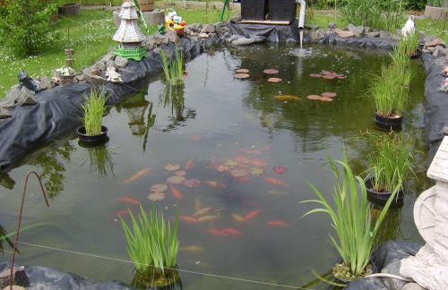 Ferienwohnung Steffi Lauschke - Foto 14