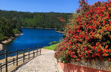 Moradia em Castelo Bode - Foto 15