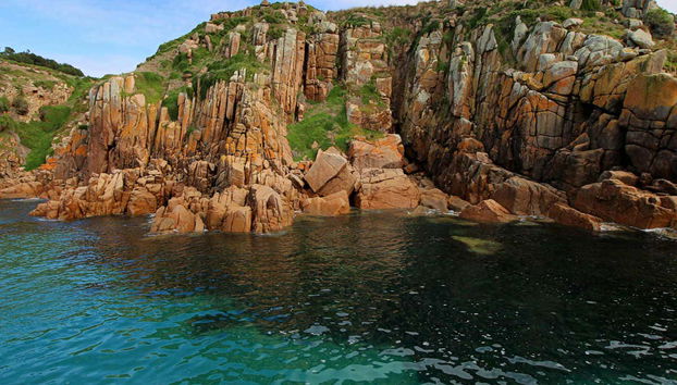 Phillip Island Cruise - Foto 2