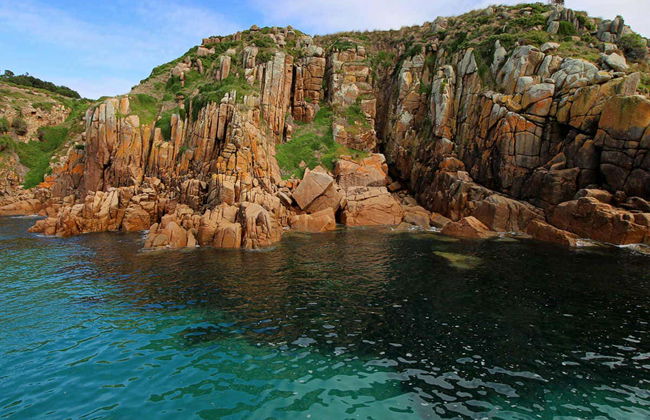 Paseo en barco por la Isla Phillip - Foto 2