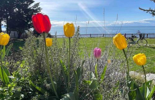 Home Away From Home - Foto 1