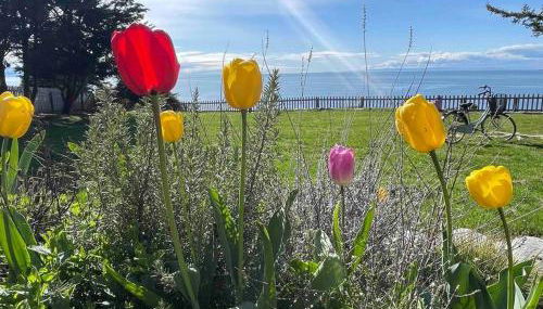 Home Away From Home - Foto 1