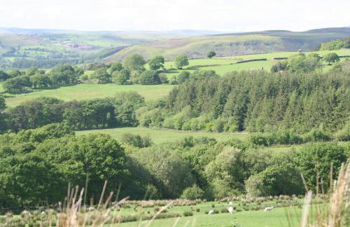 Swansea Valley Holiday Cottages - Foto 98