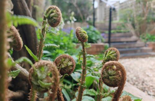 Wishbone Cottage In The Cotswolds - Foto 20