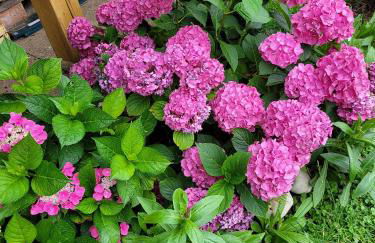 Ferienwohnung bei Helga - Foto 25