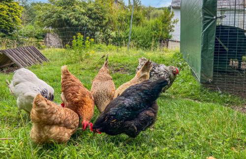 Linhay Swimbridge - Foto 20