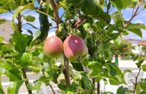 CRALS - Casa da Guilheta - Foto 64