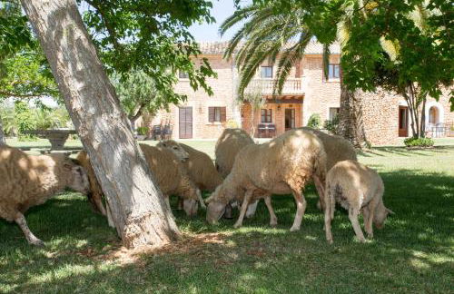 Agroturismo Es Quatre Cantons - Photo 125