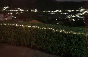 Altera Vita - Foto 80