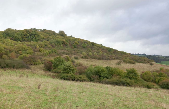 Einladende Ferienwohnung in Muellenborn Eifel - Foto 29