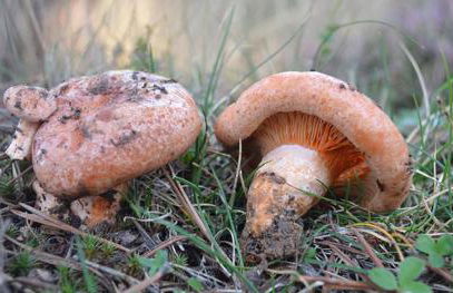 Mirador de San Matias - Foto 22