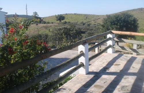 Horta da Quinta - Foto 57