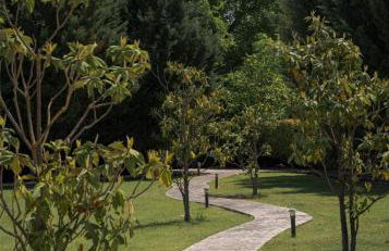 Chalet Stiga Kalavrita - Maisonettes - Foto 13