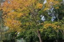 3Raumwohnung mit Balkon in Leipzig Nord BMW, Amazon, Messe & Porsche - Foto 50