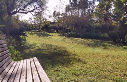 Interpares Terrace by Del Parque Flats - Photo 46