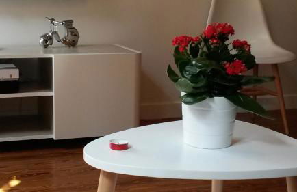 La Nuit Saint Georges - Photo 27