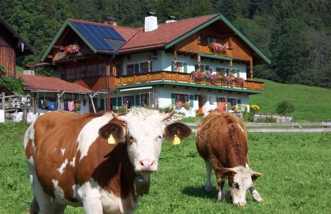 Staufenblick Roof Studio in the House - Photo 14