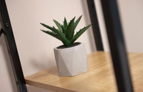 Ileana-Marina studio 1 - Foto 6