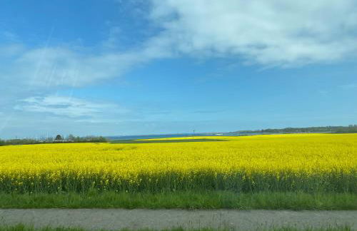 Mein-Ostseeplätzchen Haus am Meer 6 - Foto 20